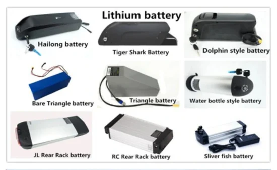 Phosphat-Lithium-Heckträger-LiFePO4-Cycle-Power-Batterie für Elektrofahrräder